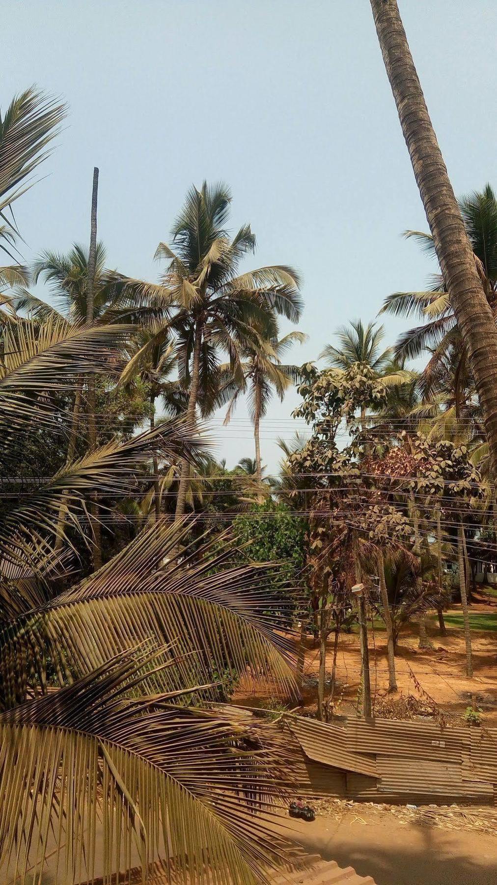 Hotel Shiva Ashvem Ashvem Beach Bagian luar foto