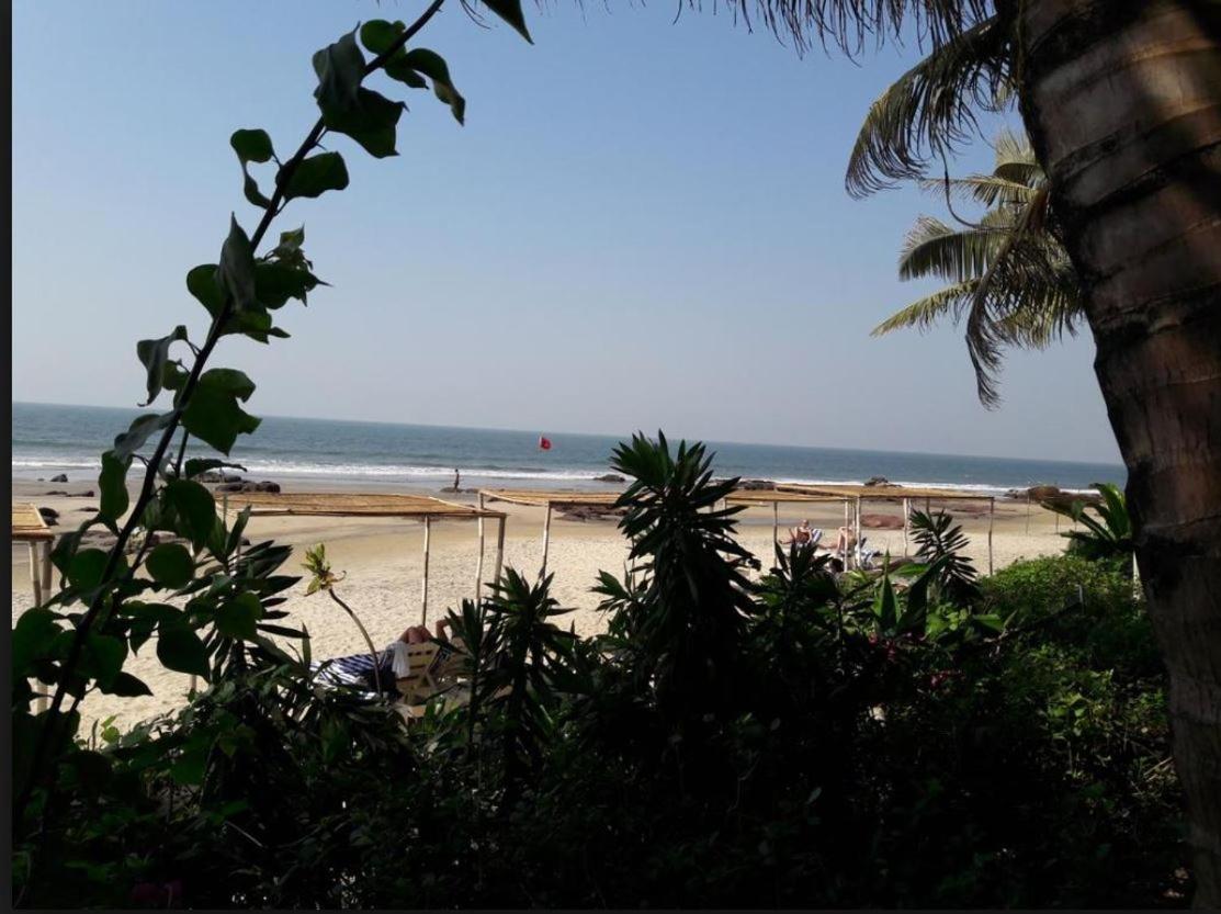 Hotel Shiva Ashvem Ashvem Beach Bagian luar foto