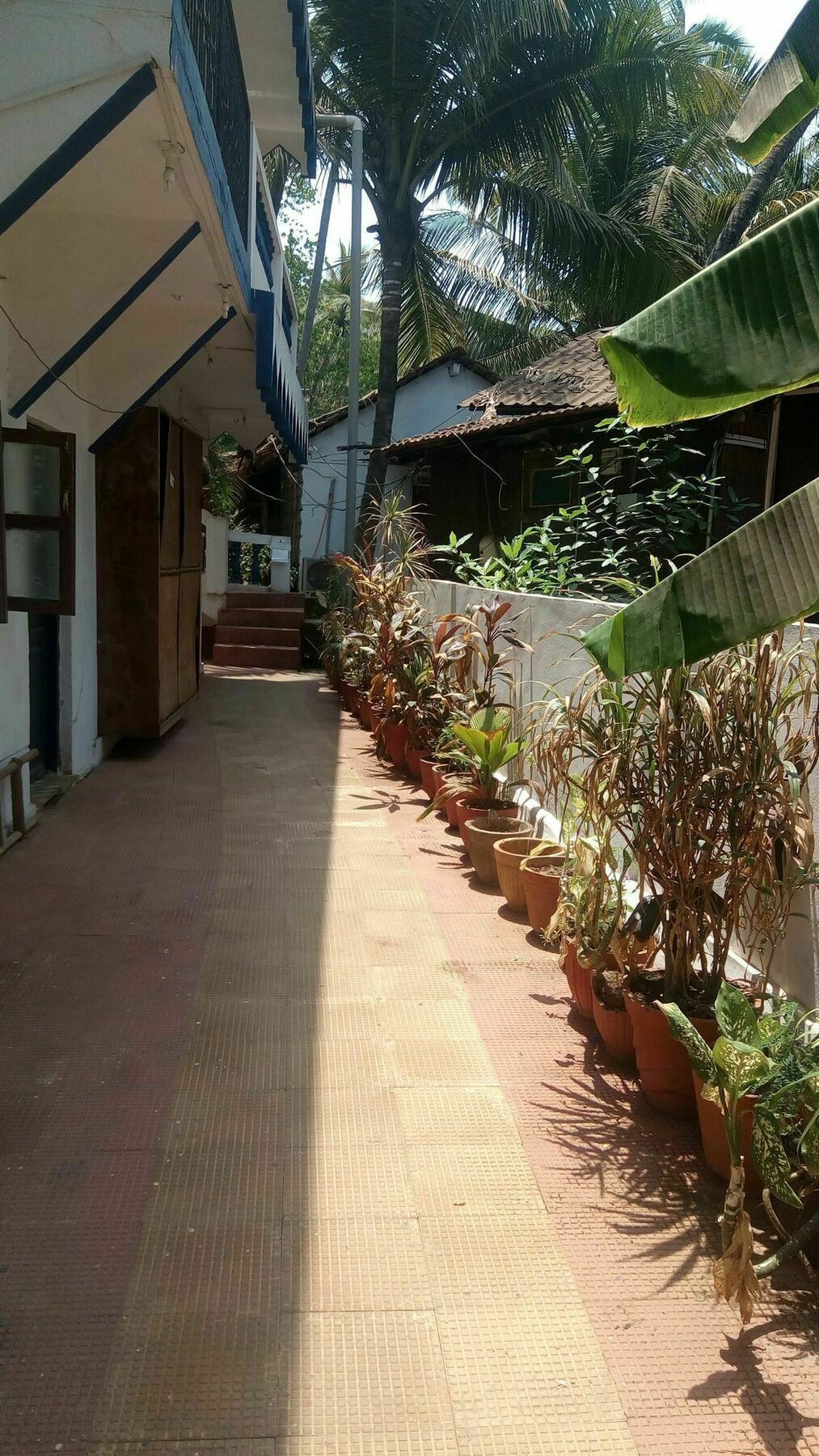 Hotel Shiva Ashvem Ashvem Beach Bagian luar foto